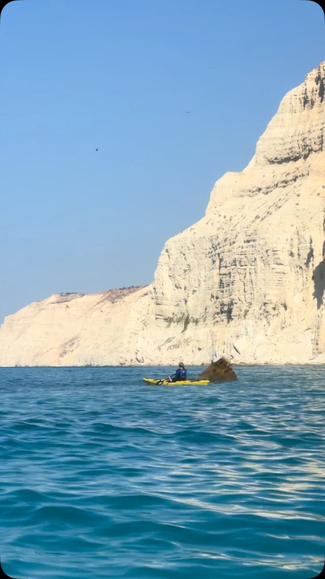 This ☝️ this is why we do it 🚣‍♀️🌊 this is what you have to experience at least once in your life 🦆 #experiencemore #seakayakcyprus #seakayaking #limassol #islandlife